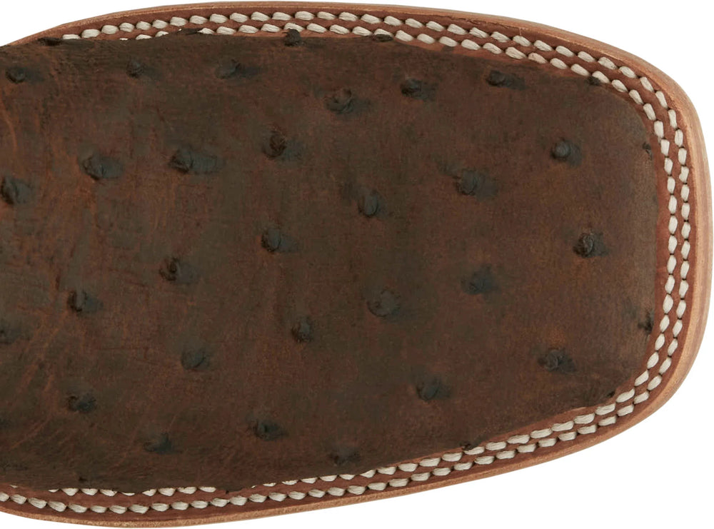 King - Full Quill Ostrich ™ - Kango Tobac (Brown)