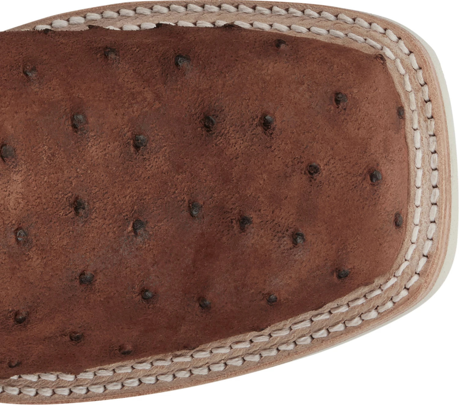Dakota 11" Full Quill Ostrich ™ - Wild Brandy (Brown)